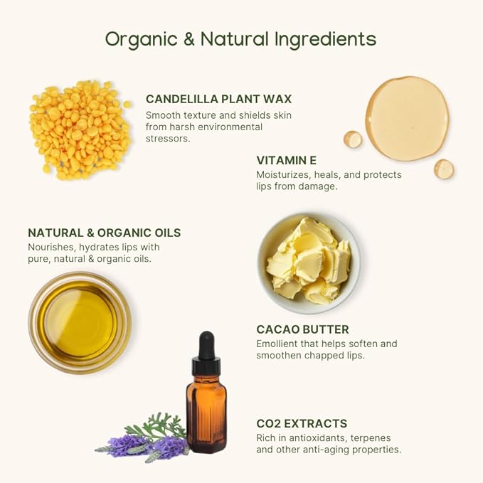 ILIKA Lip balm, Organic, 100% Plant-based, Natural Lip Treatment, COSMOS Certified Organic, PETA Certified Vegan &amp; Cruelty-Free 2 Pack, Ginger Lemon &amp; Almond Cardamom Rose