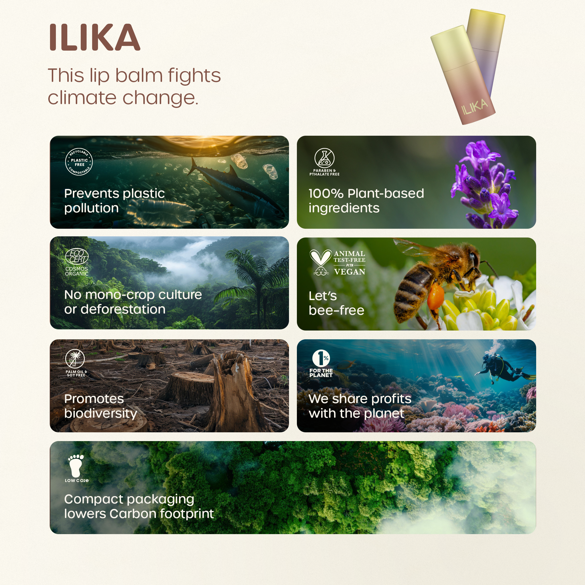 ILIKA 100% Natural Lip Balm - Organic, Plastic-free, Vegan, Vitamin E, COSMOS Certified, 4-Pack Essential Collection, Ginger Lemon, Eucalyptus Mint, Lavender Chamomile, Almond Cardamom Rose, 0.15 oz