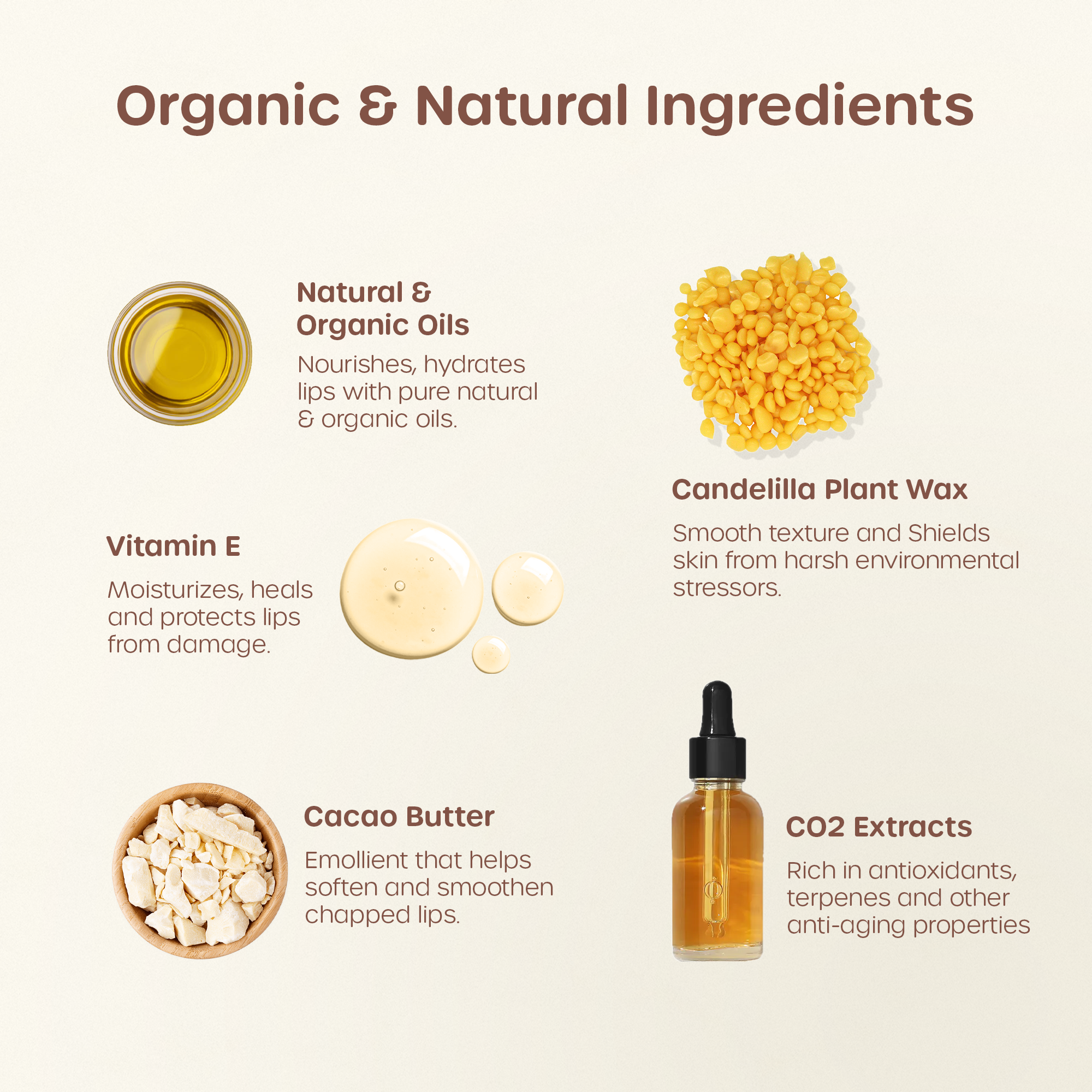 Baume à lèvres ILIKA bio, 100 % végétal, double volume, faible émission de CO2e - Certifié biologique COSMOS, certifié PETA végan et sans cruauté envers les animaux, tube biodégradable, lot de 4, collection classique 